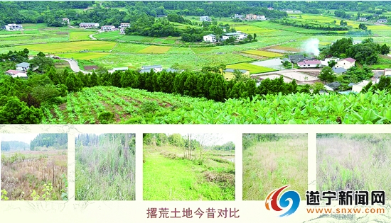 03-----------1.jpg 03-----------1.jpg